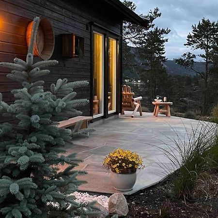 Cosy Cabin Between Lake And Mountain Treungen Eksteriør bilde