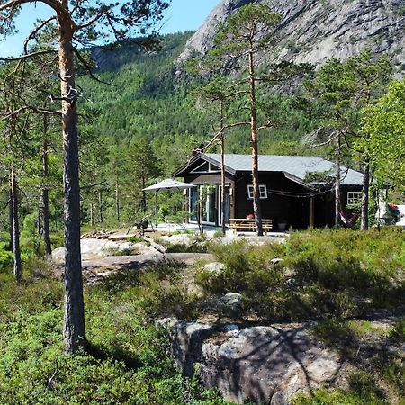 Cosy Cabin Between Lake And Mountain Treungen Eksteriør bilde