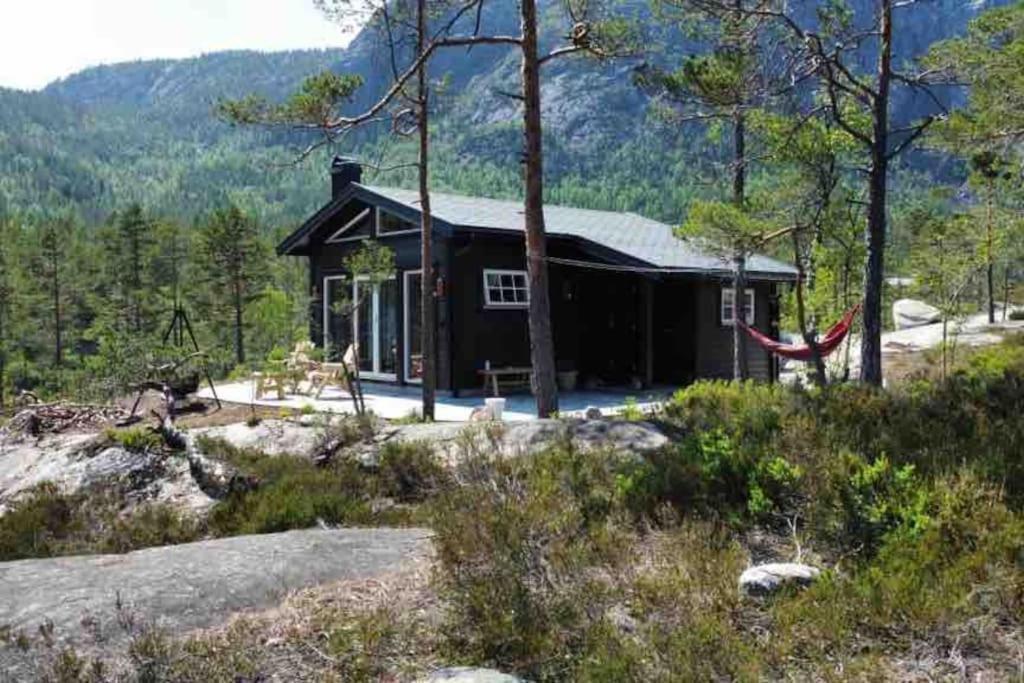 Cosy Cabin Between Lake And Mountain Treungen Eksteriør bilde