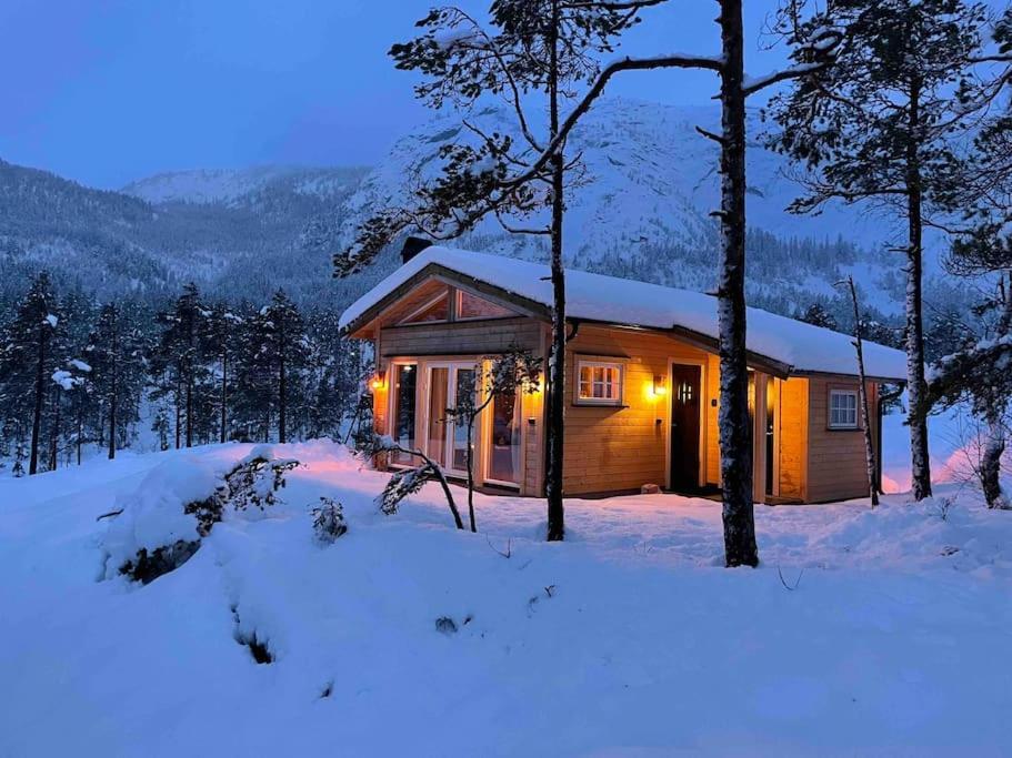 Cosy Cabin Between Lake And Mountain Treungen Eksteriør bilde
