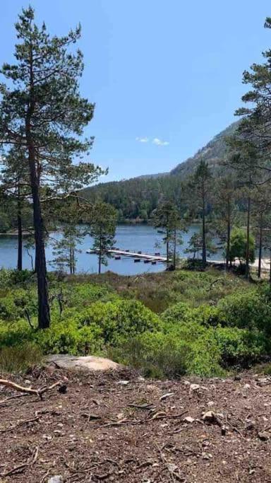 Cosy Cabin Between Lake And Mountain Treungen Eksteriør bilde