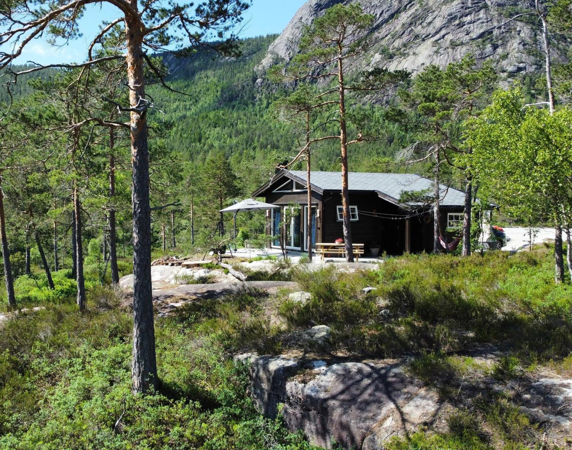 Cosy Cabin Between Lake And Mountain Treungen Eksteriør bilde